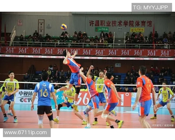 成都排球队的默契配合与战术探讨聚焦排球的团队精神与协作能力