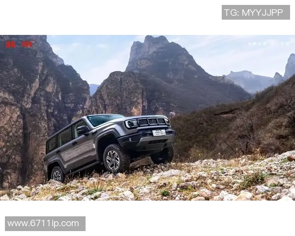 武汉攀岩队的反击之路：挑战与收获的深度剖析