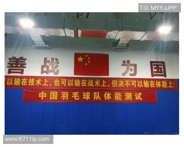 重庆羽毛球队战术解析与实战应用的深度研究与探讨