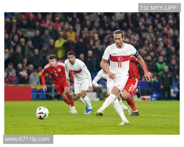 2008年欧洲杯土耳其对捷克切赫精彩表现回顾与分析 2008年欧洲杯土耳其对捷克切赫精彩表现回顾与分析