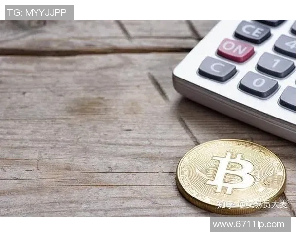波动止损指标VS的实用技巧与应用分析探讨